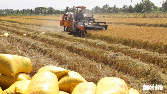 Nâng cao chất lượng nông sản Việt - Kỳ 3: Không thể không sản xuất sạch - Ảnh 1.