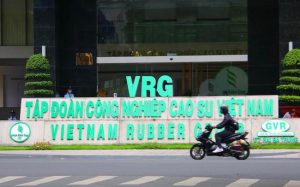 Vốn hóa “bốc hơi” 29.000 tỷ đồng trong chưa đến 1 tuần, Tập đoàn Cao su (GVR) lùi thời hạn họp Đại hội cổ đông