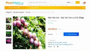 Hơn 100 tấn mận Sơn La được tiêu thụ trên sàn thương mại điện tử Postmart - Ảnh 1.