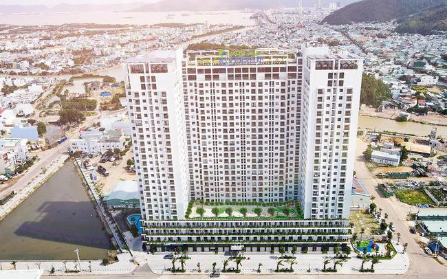 Bàn giao sổ hồng: EcoLife Riverside khẳng định uy tín tại Quy Nhơn