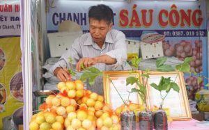 Chanh leo ngọt cả trăm nghìn đồng/kg vẫn 'cháy hàng'