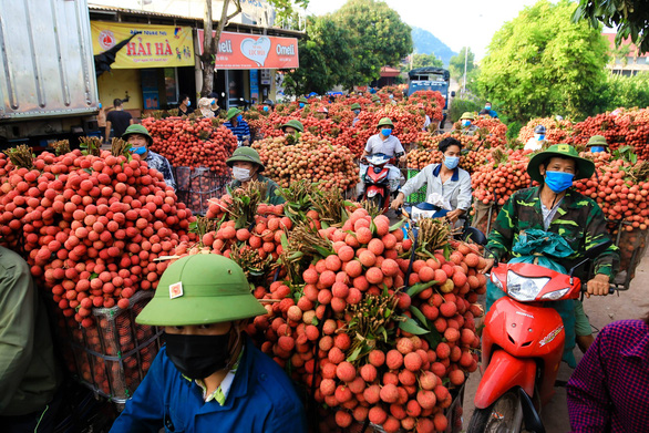 Tin sáng 24-5: Khoai lang, chuối, mít… tràn ra vỉa hè giá rẻ; 100 ngày tập trung tiêu thụ vải thiều - Ảnh 5.