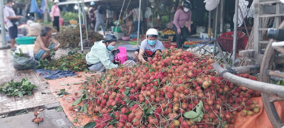 GIÁ CẢ hằng ngày 11-6: Trái cây bán lẻ với giá sỉ; Giá lúa giảm dù xuất khẩu tăng mạnh - Ảnh 2.