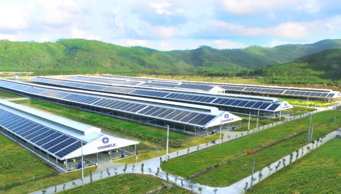 Năng lượng điện mặt trời được sử dụng tại các trang trại sinh thái Vinamilk Green Farm. Ảnh: Vinamilk