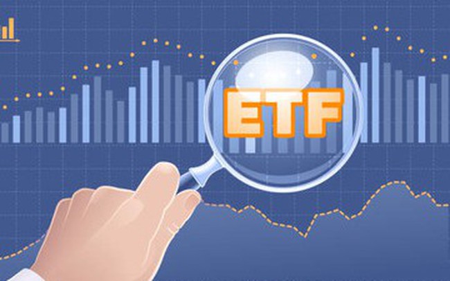 Cổ phiếu ngân hàng chiếm tỷ trọng lớn nhất cơ cấu danh mục quỹ midcap của Dragon Capital