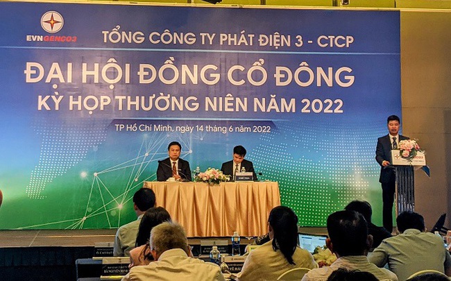 Họp ĐHĐCĐ EVNGENCO3: EVN có thể thoái vốn từ 2023, duy trì tỷ lệ chi phối trên 51%