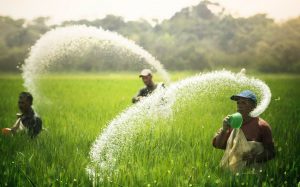 Lo sợ nguồn cung giảm mạnh và chi phí lương thực toàn cầu tăng cao, Mỹ 'âm thầm' khuyến khích việc mua bán phân bón Nga