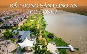 Hai diễn biến “lạ” của thị trường bất động sản Long An