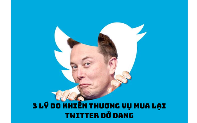 Còn điều gì đang cản bước Elon Musk hoàn tất thương vụ mua lại Twitter?