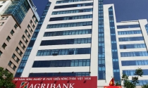 Agribank rao bán khoản nợ của đại gia bất động sản Thanh Hóa