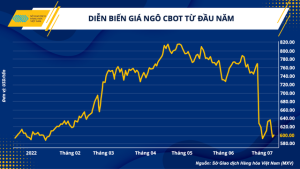 Giá nguyên liệu hạ nhiệt, ngành chăn nuôi sắp bước vào giai đoạn dễ thở hơn - Ảnh 1.