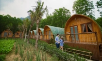 Hùn vốn đầu tư farmstay, nên hay không?