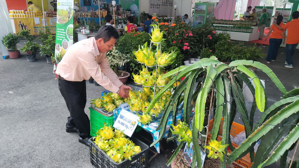 Người dân TP.HCM có cơ hội ‘săn’ hàng loạt giống rau củ quả, đặc sản vùng miền - Ảnh 2.