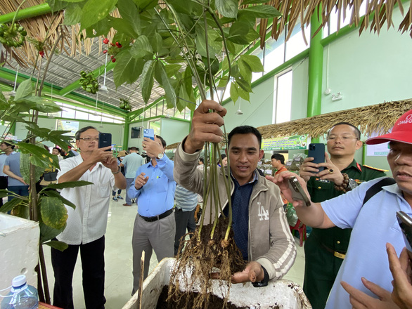 Phiên chợ sâm thu về gần 10 tỉ đồng từ việc bán sâm Ngọc Linh - Ảnh 1.