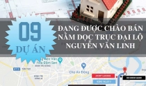 9 dự án đang được chào bán nằm dọc trục Đại lộ Nguyễn Văn Linh