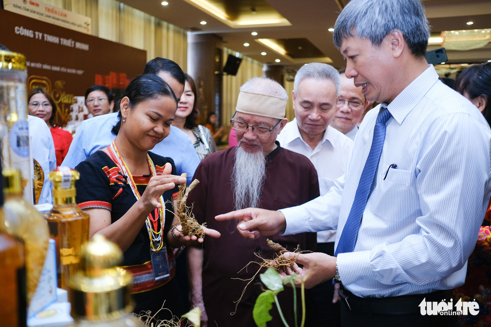 Tinh hoa hội tụ ở triển lãm sâm Ngọc Linh tại Quảng Nam - Ảnh 5.