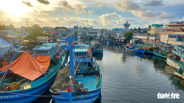 Tàu cá nằm bờ chờ hỗ trợ - Ảnh 1.