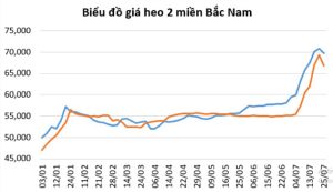 Giá heo hơi leo dốc rồi hạ nhiệt, đà tăng giá gần đây chỉ trong ngắn hạn? - Ảnh 1.