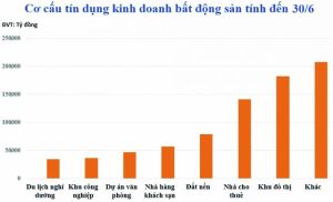 Tín dụng bất động sản: “Ném chuột đừng để vỡ bình” - Ảnh 1.