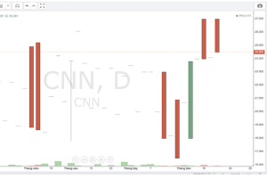 “Đột biến” giao dịch nhìn từ cổ phiếu CNN - Ảnh 1.