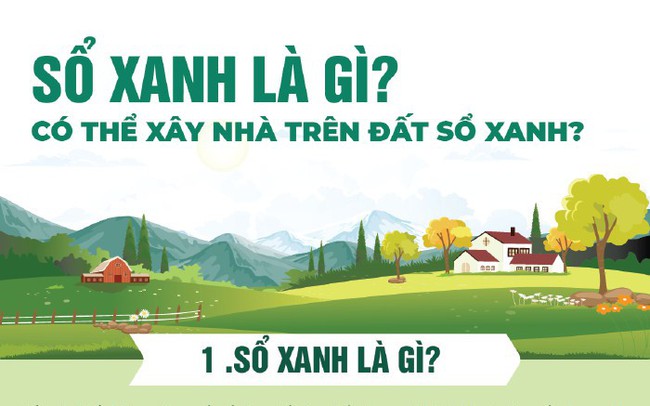 [Infographic] Sổ xanh là gì? Có thể xây nhà trên đất sổ xanh?