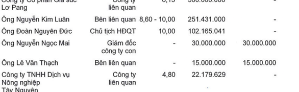 Hoàng Anh Gia Lai bị phạt vì cho bầu Đức vay tiền - Ảnh 2.