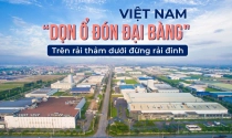 Việt Nam “dọn ổ đón đại bàng": Trên rải thảm dưới đừng rải đinh