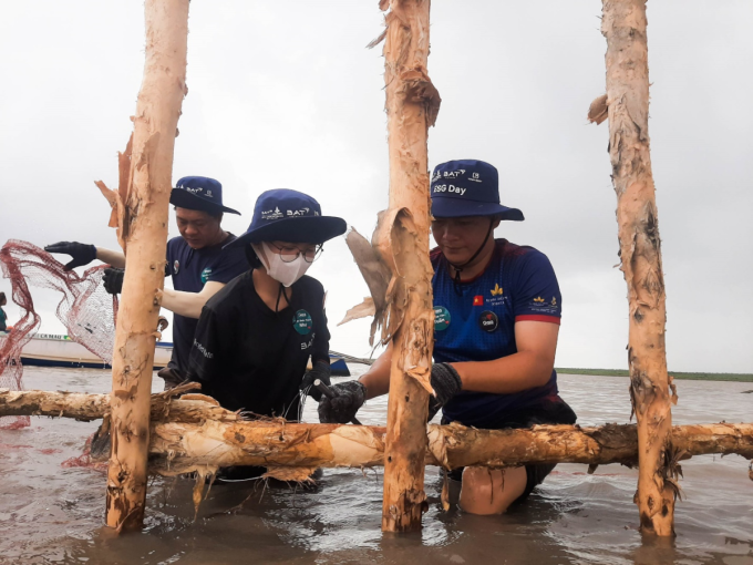 Hơn 40 thành viên của BAT Việt Nam đã không ngại di chuyển từ TP HCM để tham gia vào hoạt động khoanh nuôi tại vườn quốc gia Cà Mau cùng sự giúp sức của người dân địa phương.