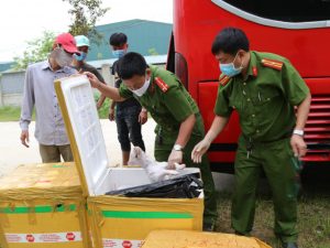 Liên tiếp bắt xe khách chở hàng tấn động vật, nội tạng hôi thối - Ảnh 1.