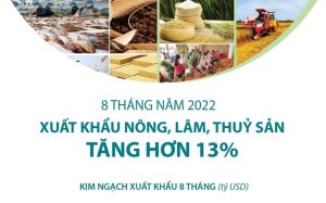 8 tháng năm 2022: Xuất khẩu nông, lâm, thủy sản tăng hơn 13%