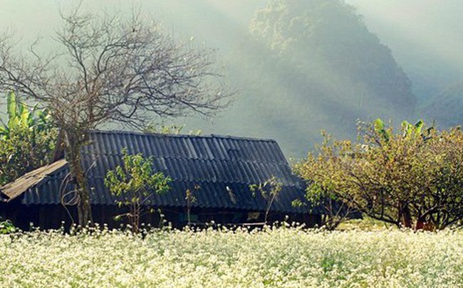 Lý do Sơn La đề xuất xây thêm sân bay Mộc Châu?