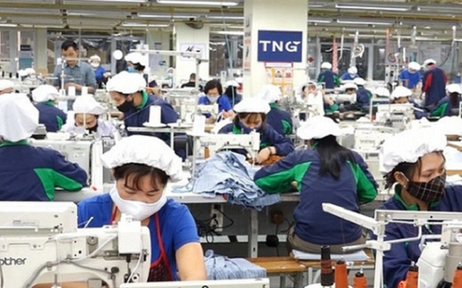 Dệt may TNG báo lãi tháng 8 gần 40 tỷ đồng, tăng 31%